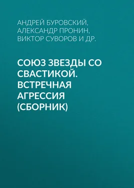 Александр Гогун Союз звезды со свастикой. Встречная агрессия (сборник) обложка книги