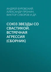 Александр Гогун - Союз звезды со свастикой. Встречная агрессия (сборник)