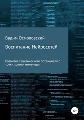 Вадим Осмоловский - Воспитание Нейросетей