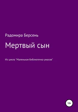 Радомира Берсень Мертвый сын обложка книги