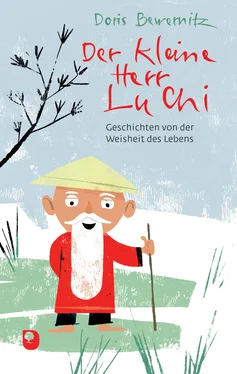 Doris Bewernitz Der kleine Herr Lu Chi обложка книги