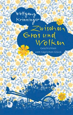 Wolfgang Krinninger Zwischen Gras und Wolken обложка книги