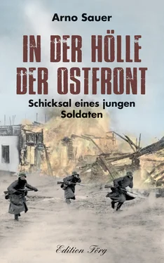 Arno Sauer In der Hölle der Ostfront обложка книги
