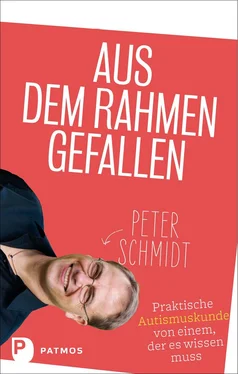 Peter Schmidt Aus dem Rahmen gefallen обложка книги