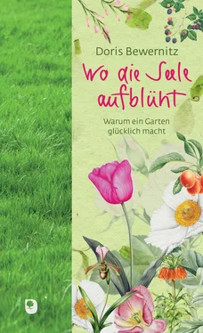 Doris Bewernitz Wo die Seele aufblüht обложка книги