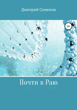 Дмитрий Семенов Почти в Раю обложка книги