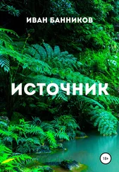 Иван Банников - Источник