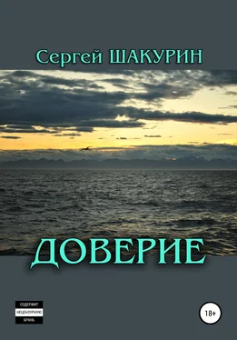 Сергей Шакурин Доверие обложка книги