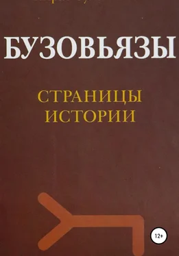 Айрат Сулейманов Бузовьязы. Страницы истории обложка книги