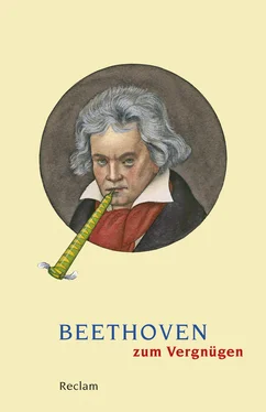 Неизвестный Автор Beethoven zum Vergnügen обложка книги