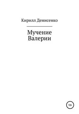 Кирилл Денисенко Мучение Валерии обложка книги