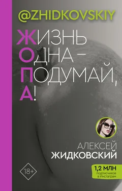 Алексей Жидковский Жизнь одна – подумай, а! обложка книги