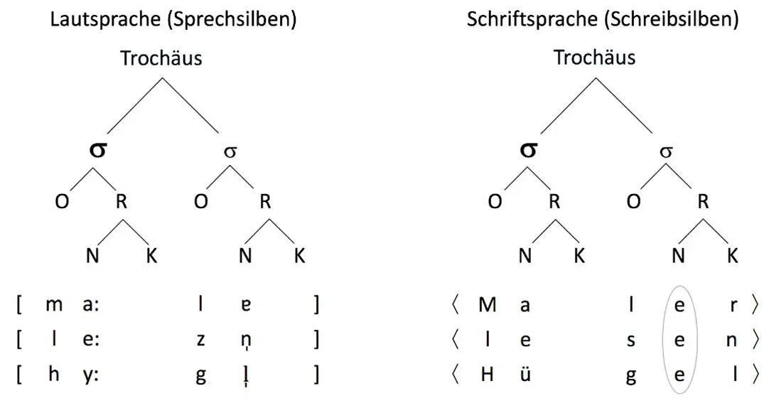 Abb 23 Der TrochäusTrochäus in Laut und Schriftsprache Wie bereits - фото 24