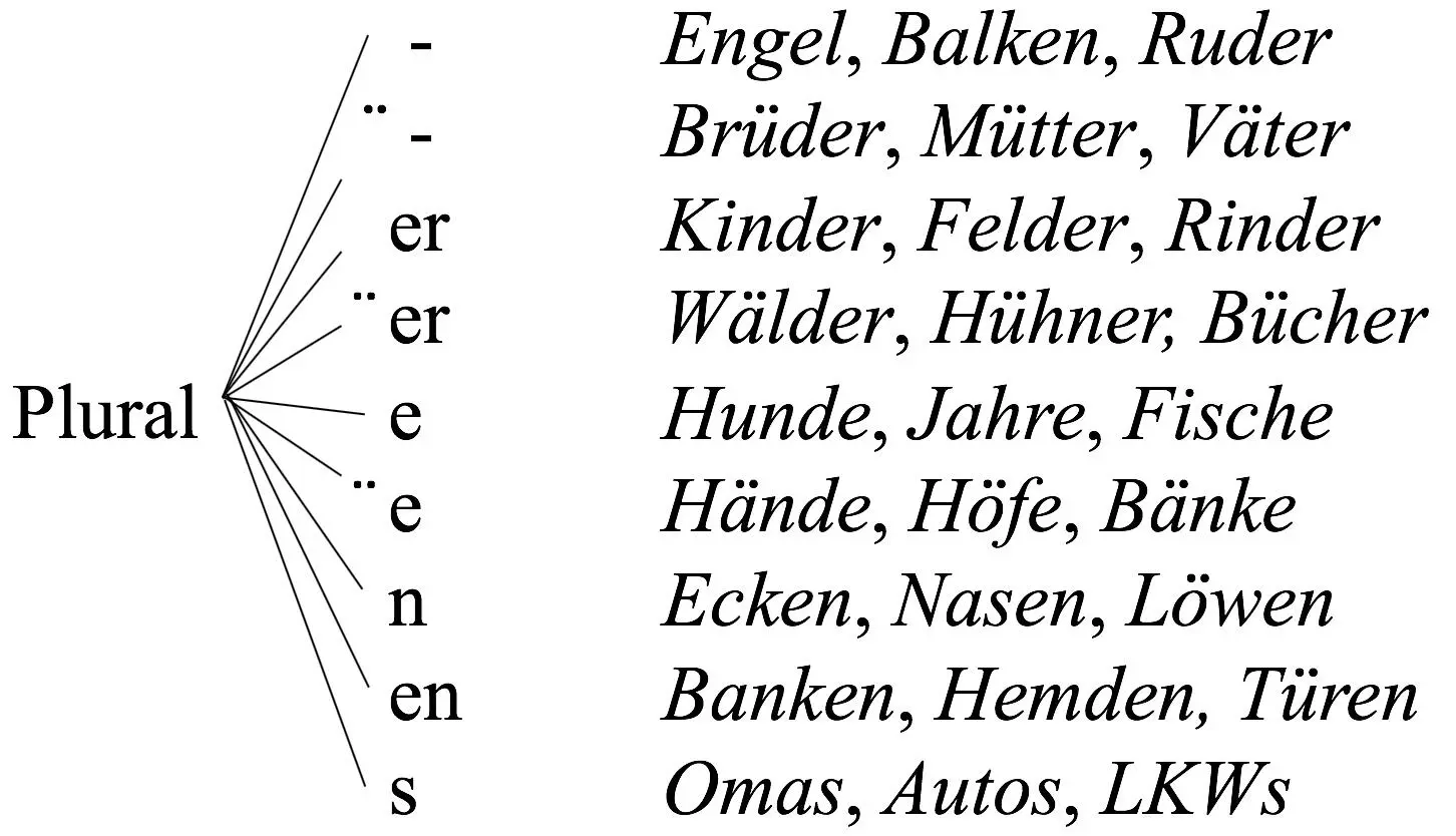 Abb 49 Pluralflexive des Deutschen nach Wegener 1995a 12 Wie mag es - фото 49