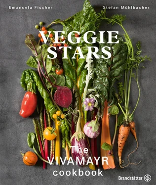 Emanuela Fischer Veggie Stars обложка книги