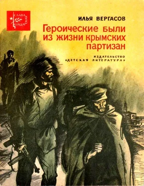 Илья Вергасов Героические были из жизни крымских партизан обложка книги