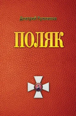 Дмитрий Ружников Поляк. Роман первый обложка книги