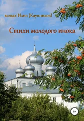 Александр Каунников - Стихи молодого инока