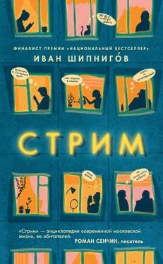 Иван Шипнигов Стрим обложка книги