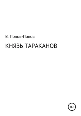 Владислав Попов Князь тараканов обложка книги