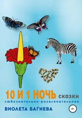 Виолета Багиева - 10 и 1 ночь. Сказки