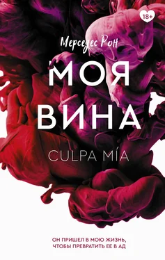 Мерседес Рон Моя вина обложка книги