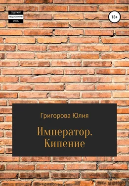 Юлия Григорова Император. Кипение обложка книги