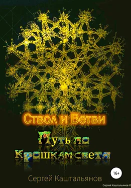 Сергей Каштальянов Путь по крошкам света. Ствол и ветви обложка книги