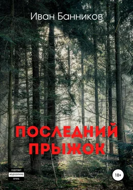 Иван Банников Последний прыжок обложка книги
