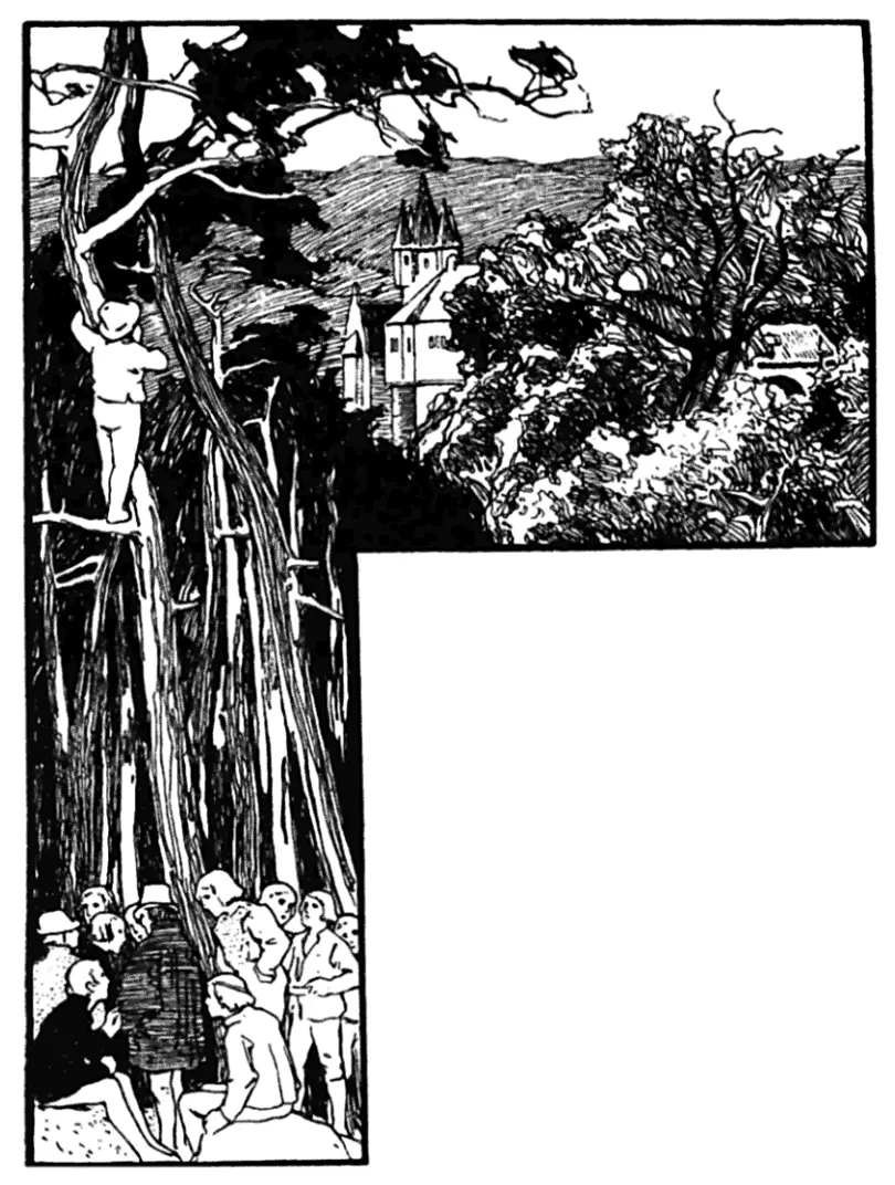 Thereupon they went deeper into the forest and in the midst of it where it - фото 19