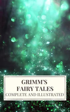 Jacob Grimm Grimm's Fairy Tales : Complete and Illustrated обложка книги