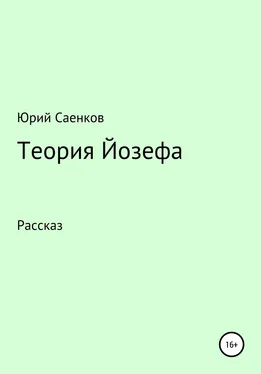 Юрий Саенков Теория Йозефа обложка книги