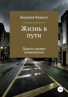 Кирилл Бедушев Жизнь в пути обложка книги