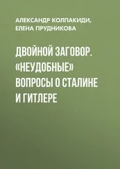 Александр Колпакиди - Двойной заговор. «Неудобные» вопросы о Сталине и Гитлере