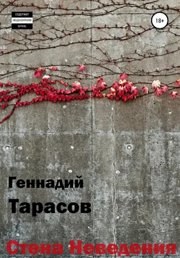 Геннадий Тарасов Стена Неведения обложка книги