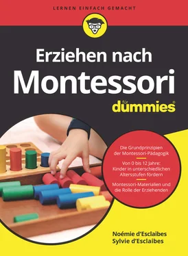 Noemie d'Esclaibes Erziehen nach Montessori für Dummies обложка книги