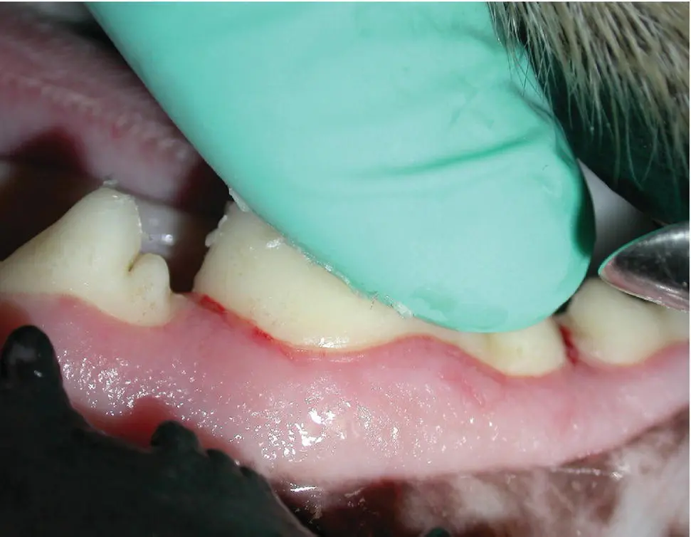 Figure 59 Application of the waxy barrier sealant An invaluable resource for - фото 74