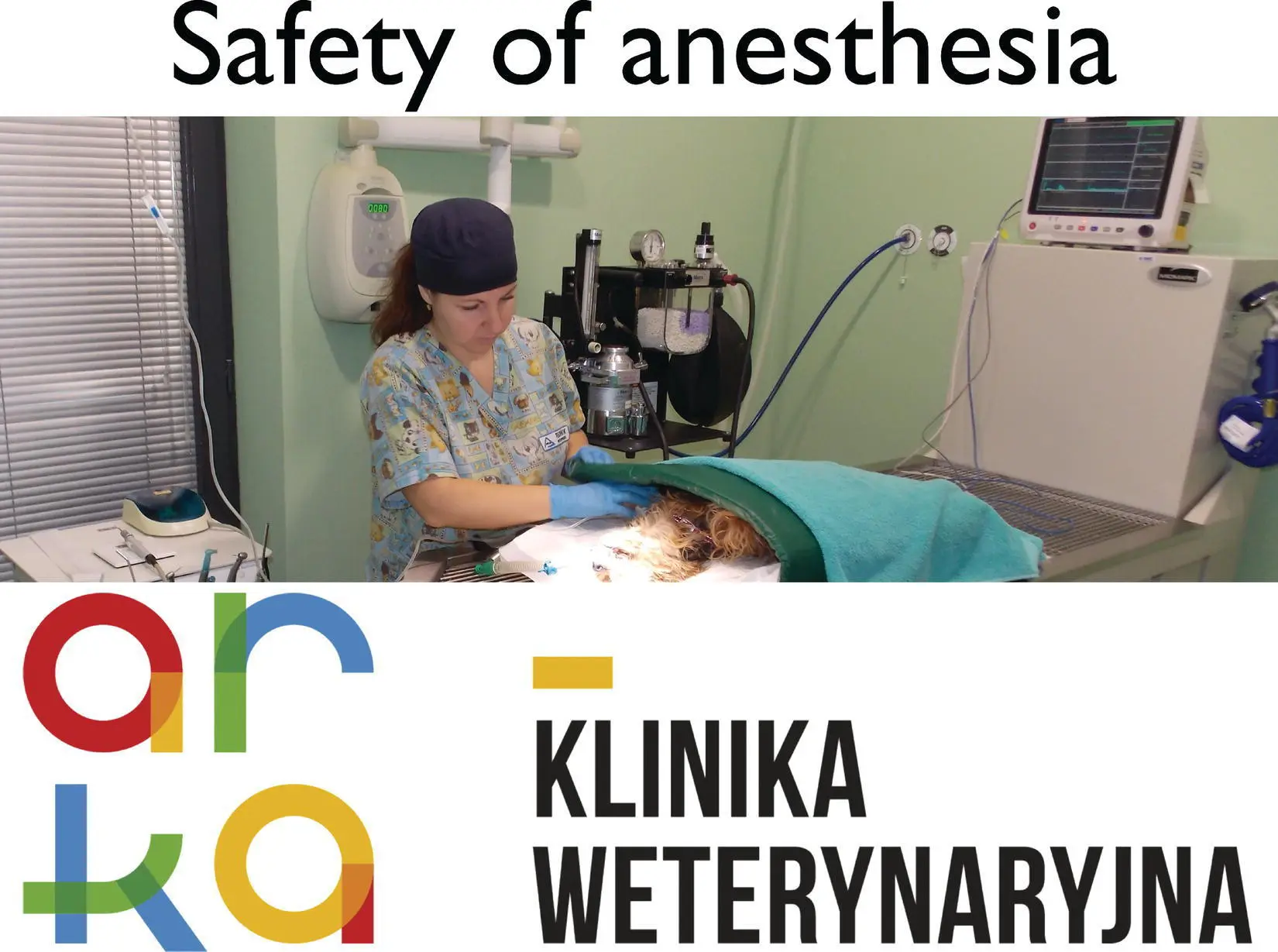 Figure 117 Presentation displayed in the waiting room explaining the safety of - фото 21