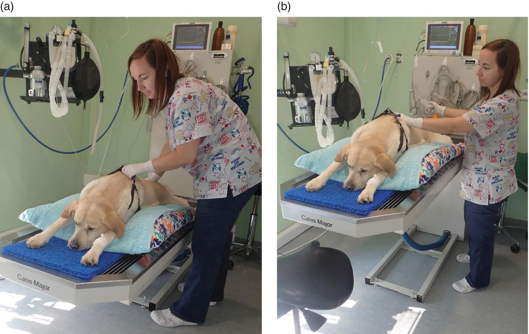 Figure 114 An adjustable table is helpful when working on with larger - фото 18