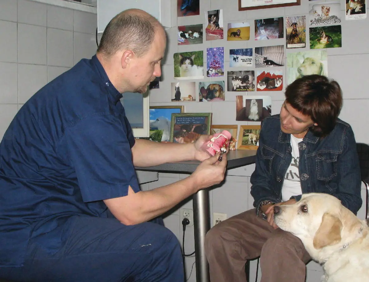 Figure 22 Clientpet and clientveterinarian bonds Figure 23 Example of a - фото 41