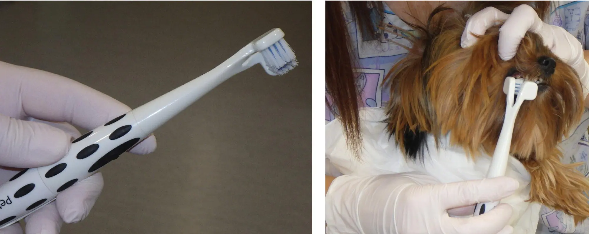 Figure 54 Mechanized toothbrush used in dogs Mechanized sonic 5 and rotary 6 - фото 69