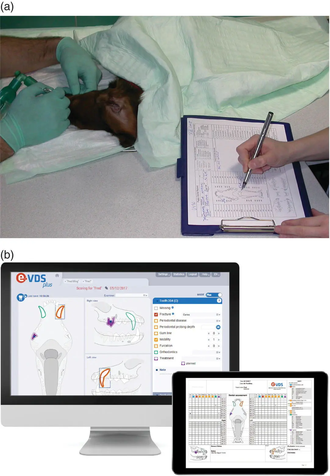 Figure 127 Charting filling in a a paper dental chart and b an electronic - фото 31