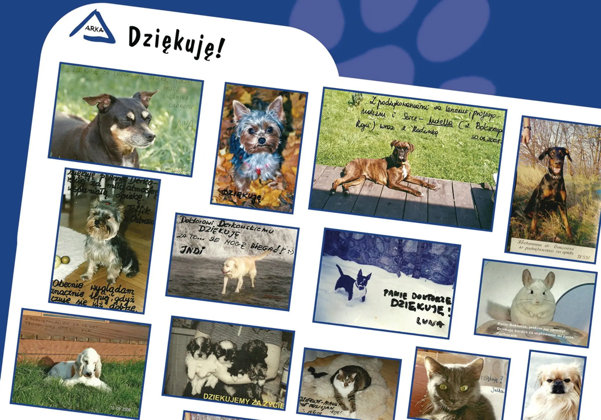 Figure 25 Array of thankyou pictures We must strive to educate the client - фото 44