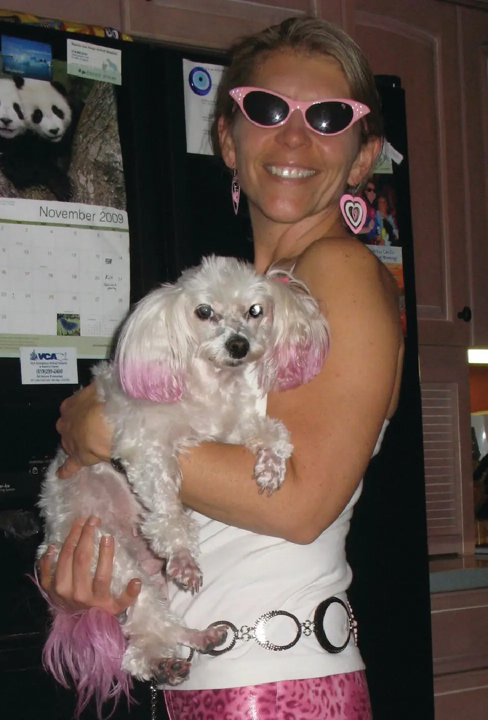 Figure 23 Example of a humandog bond with humanization efforts The effect - фото 42