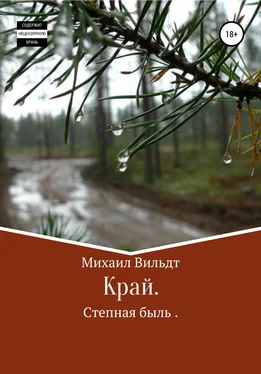 Михаил Вильдт Край обложка книги