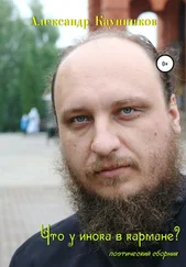 Александр Каунников - Что у инока в кармане?