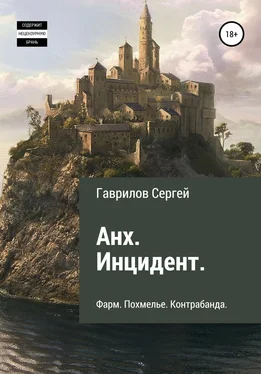 Сергей Гаврилов Анх. Инцидент обложка книги