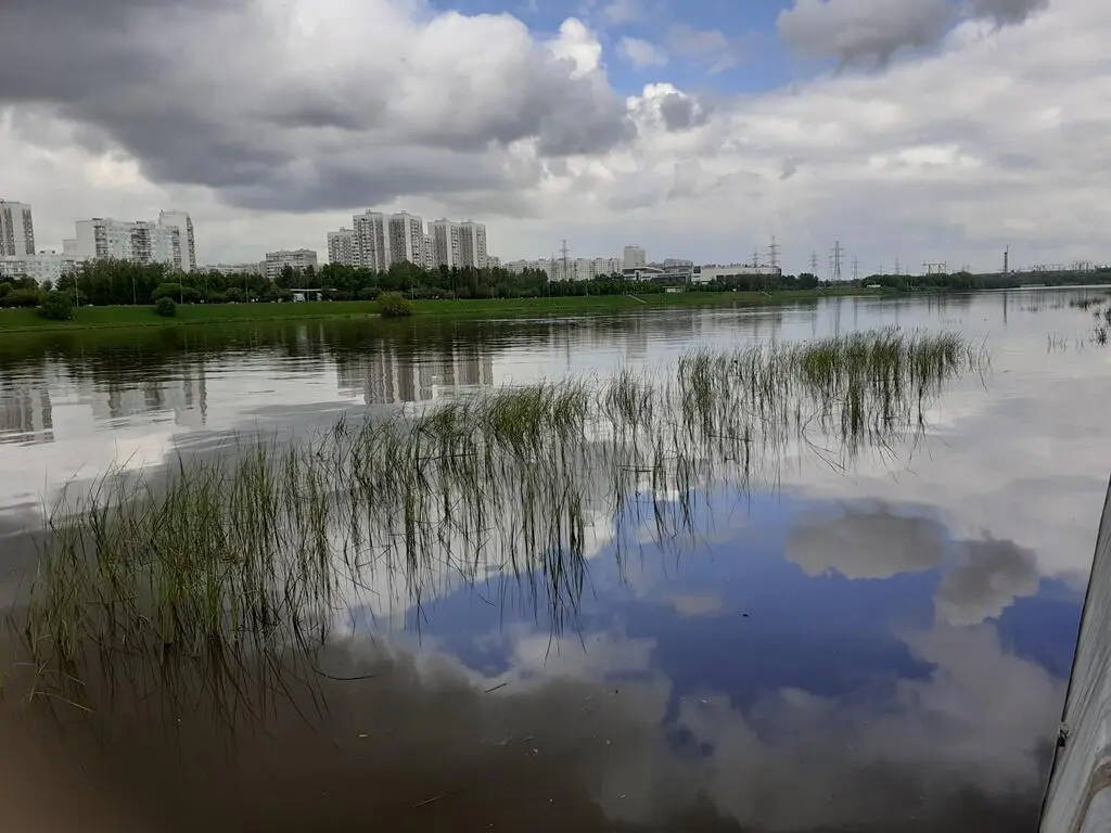 Речная фантазия Сказка ложь да в ней намёк Добрым молодцам урок А С - фото 1