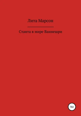 Лита Марсон Станта в мире Ваннешри обложка книги