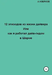 Алексей Кобяков - 12 эпизодов из жизни дайвера, или Как я работал дайв-гидом в Шарме